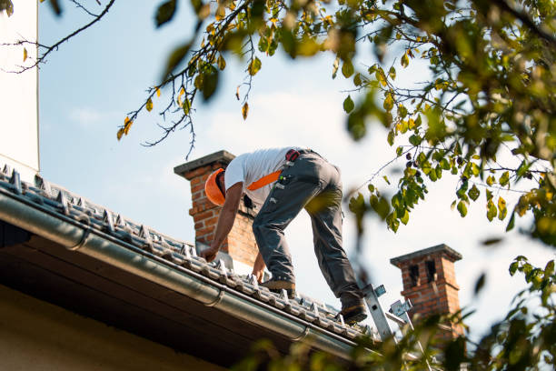 Best Roof Leak Repair  in Tazewell, TN