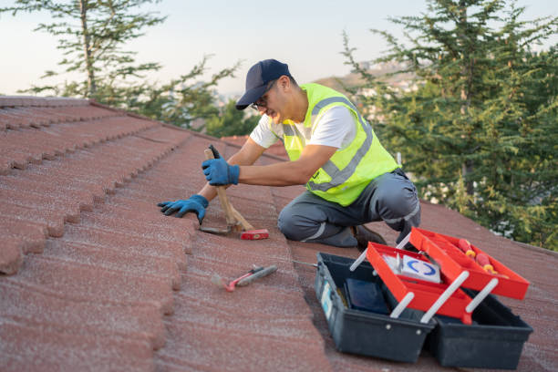 Best Roof Gutter Cleaning  in Tazewell, TN